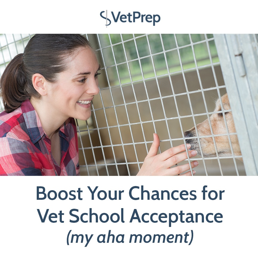 Boost Your Chances for Vet School Acceptance (my aha moment)